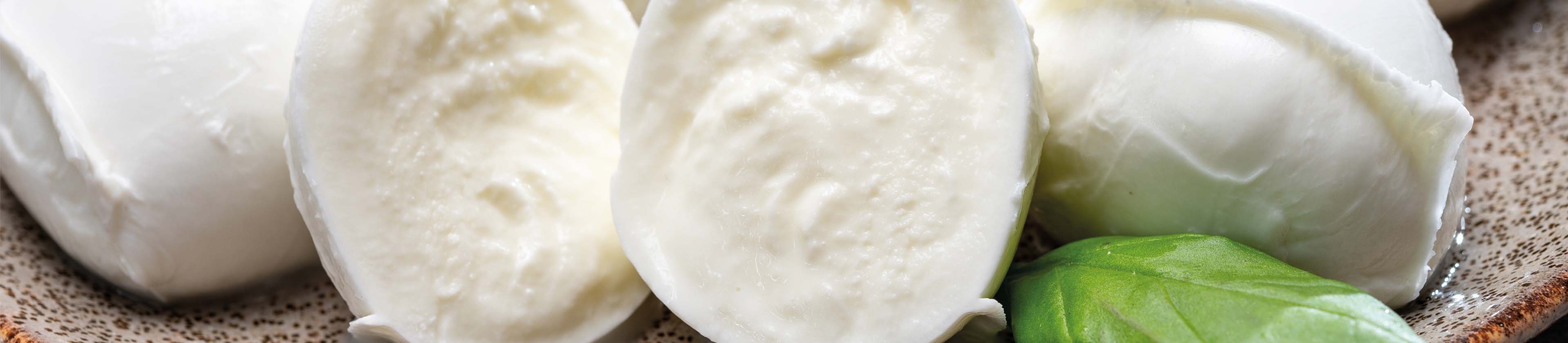 Mozzarella's en burrata's