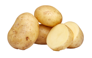 Aardappel