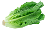 Blad groenten