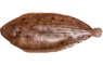 Platvis