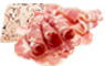 Vleeswaren & worst