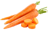 Wortel groenten