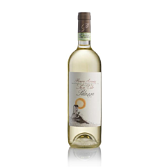 Pelassa Roero Arneis San Vito Docg 75 Cl.