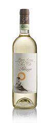 Pelassa Roero Arneis San Vito Docg 75 Cl.