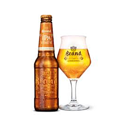 Brand Ipa Sixpack 30 CL