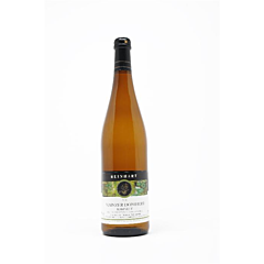 TH Weinberg Mainzer Domherr Kabinett