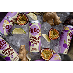 Freo Ginger Passion Fruit 25 CL