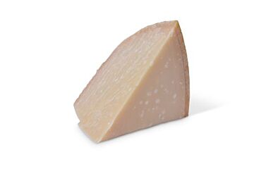 Latteria Parmigiano Reggiano 1/16 Per Kg