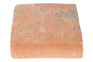 Casarrig. Taleggio Dop Pkg 2,2kg
