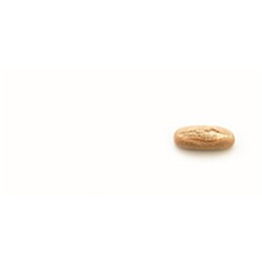 Panesco Petit Pain Bruin 85gr4375