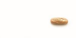Petit Pain Bruin 85gr4375