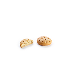 Panesco Flaguette Nature 100g 791