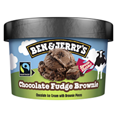 Ben & Jerry's B&J Chocolate Fudge Brownie 100ml