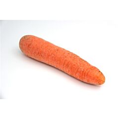 VHC AGF Winterwortel Per Stuk/Kg