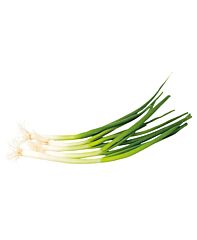 Lente Uitjes Per Bos