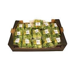 VHC AGF Little Gem Per Doos 15x4st