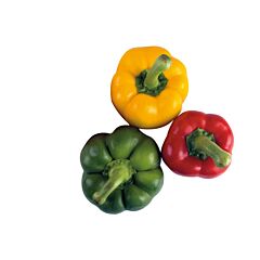 Veiling Zaltbommel Paprika Mix Per Kist 3x7 Stuks!