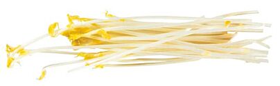 Asperge Scheuten Per Bakje