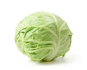 Witte Kool Per Stuk/Kg