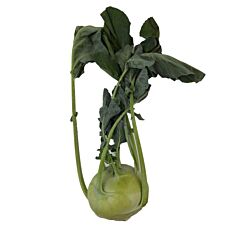 VHC AGF Koolrabi Per Stuk