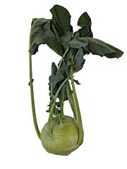 Koolrabi Per Stuk