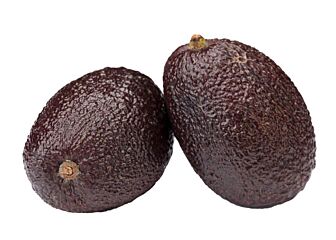 Avocado Hass Per Doos X22