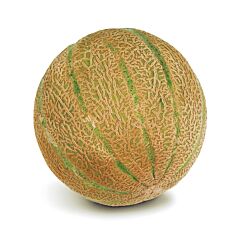 VHC AGF Meloen Cantaloupe Per Stuk