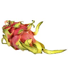 VHC AGF Pitahaya Per Stuk