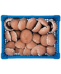Portabello Per Multikrat