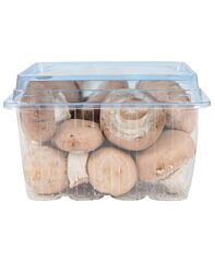 Kastanje Champignon Per Bakje
