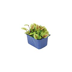 Koppert Cress Cress Vene Per Bakje