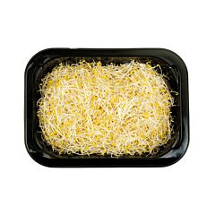 Van Der Plas Alfalfa Per Bakje