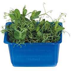 Koppert Cress Cress Affilla Per Bakje