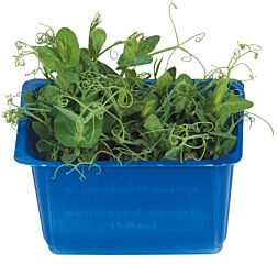Cress Affilla Per Bakje