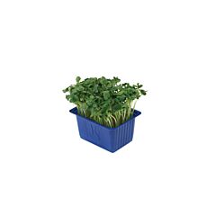 Koppert Cress Cress Daikon Per Bakje