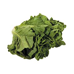 VHC AGF Sla Romaine Per Stuk