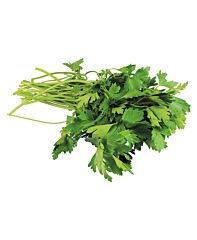 Peterselie Blad Per Bos