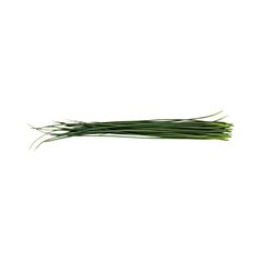 VHC AGF Bieslook Per Bos