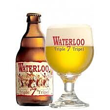 Waterloo Triple 7 Blond 24x33 Cl.