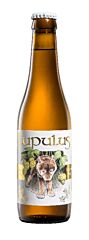 Lupulus Tripel 24x33 Cl.