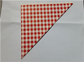 Rabo Puntzak K19 Rode Ruit