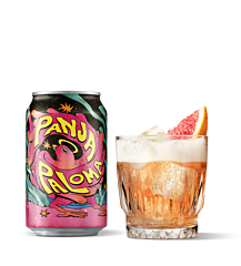 'T Ij Panja Paloma Blik 24x33 Cl.