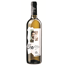 Sanz Finca La Colina El Loco