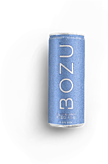 Bozu Hard Ice Tea Blueberry Blik 12x25 Cl. St.