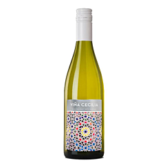 Vina Cecilia Moscato Blanco Do Valencia