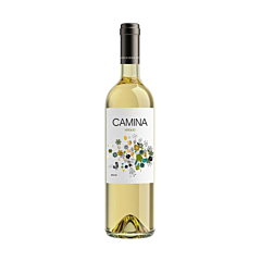 Camina Verdejo