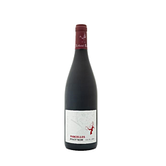 Rethore Davy Parcelles Pinot Noir Loire 75 Cl.