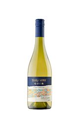 Terranoble Civis Chardonnay 75 Cl.