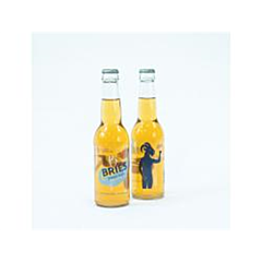 Bries Vlieland Eiland Goud Bier 20x27,5 Cl. 275 CL