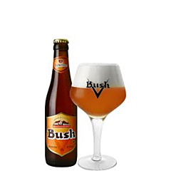 Bush Caractere Amber 33 CL